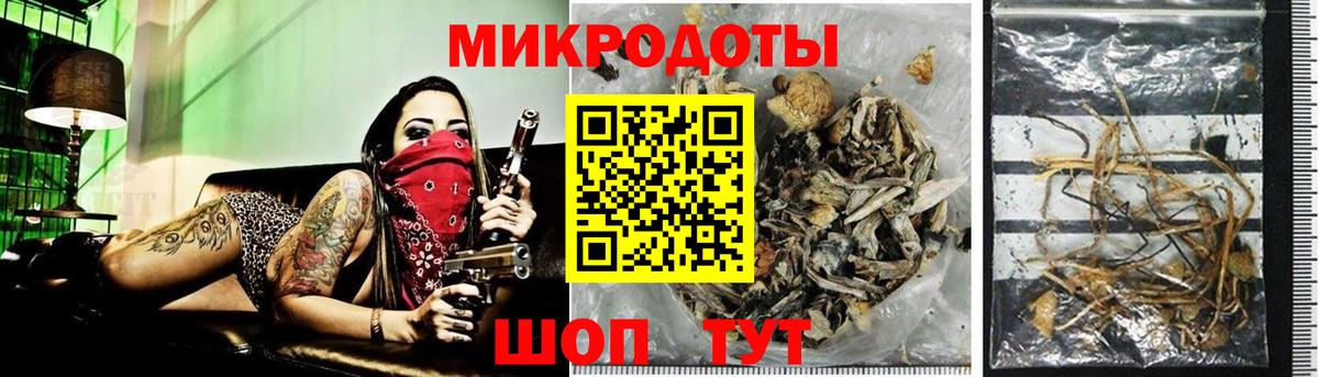 Тверь  Псилоцибиновые грибы Magic Shrooms  Галлюциногенные грибы Psilocybe  Вход с VPN 
