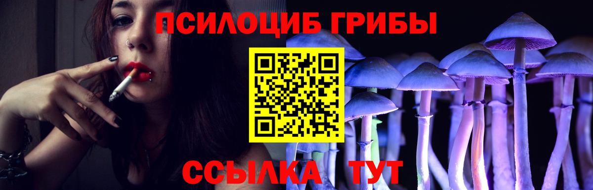 Галлюциногенные грибы MAGIC MUSHROOMS Тверь